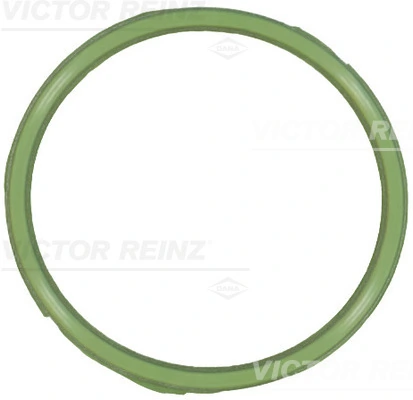 Gasket, intake manifold